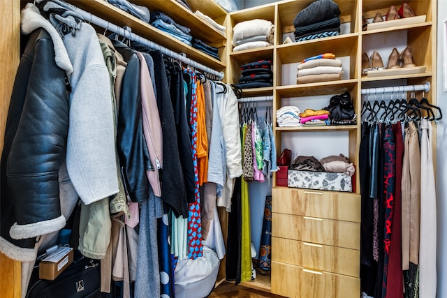 view of spacious closet