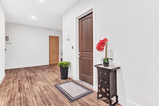 foyer entrance featuring hardwood / wood-style floors