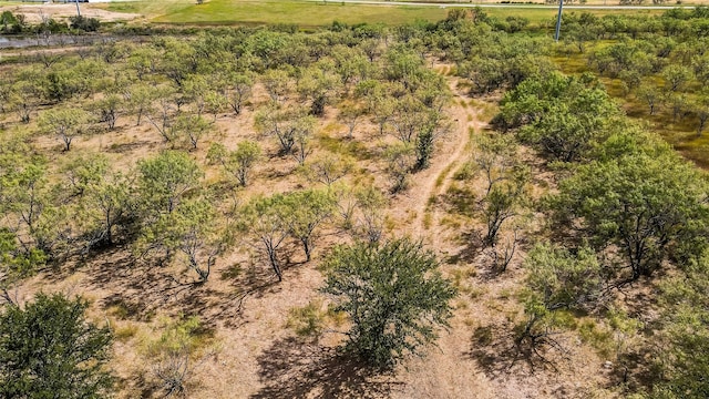 TBD County Road 237, Eastland, TX 76448