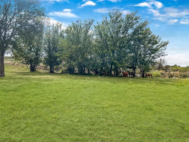 Listing photo 2 for TBD County Road 237, Eastland TX 76448