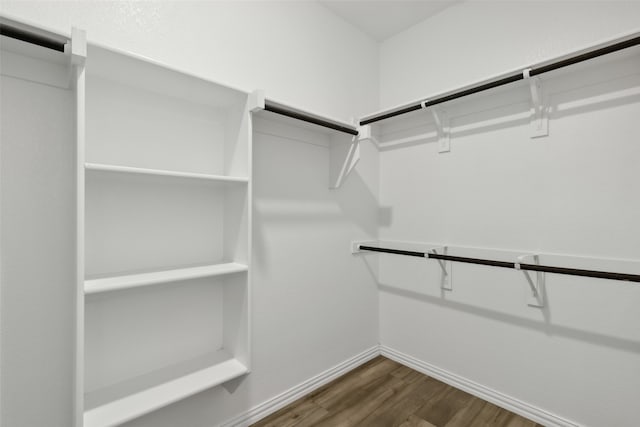 spacious closet featuring dark hardwood / wood-style floors