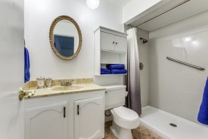 bathroom featuring vanity, a shower with curtain, and toilet