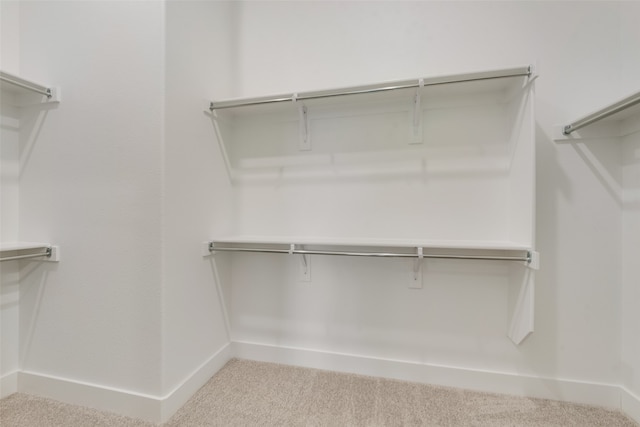 spacious closet with light carpet