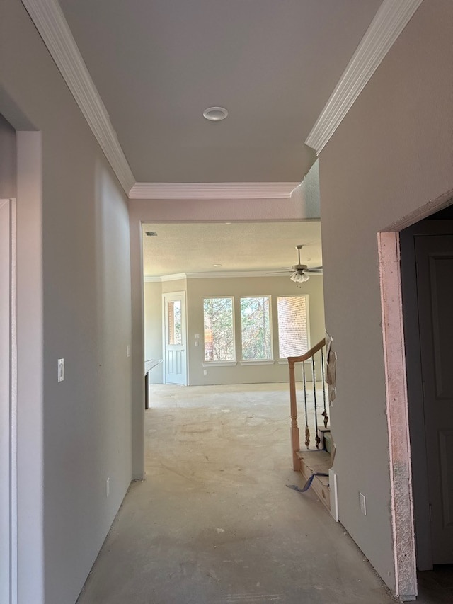 hallway with ornamental molding