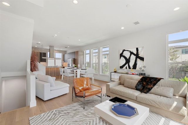 living room featuring light hardwood / wood-style floors