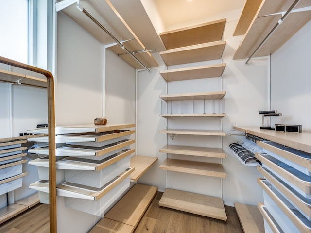 spacious closet featuring wood-type flooring