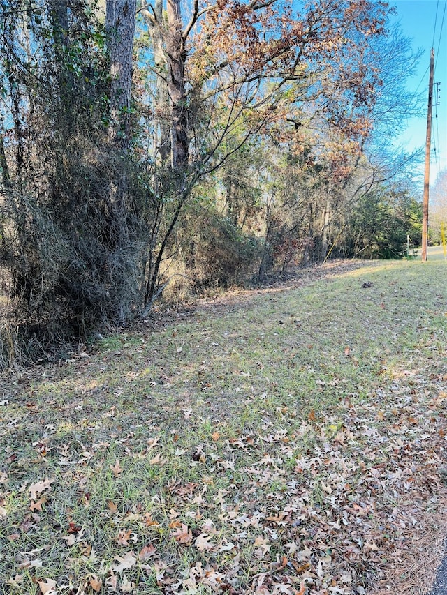 LOT31 Winding Ln, Mount Vernon TX, 75457 land for sale