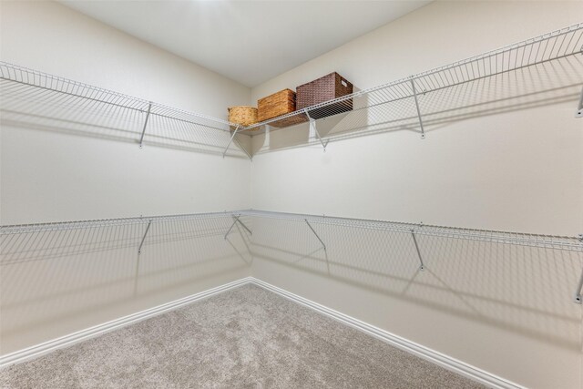 walk in closet with carpet floors