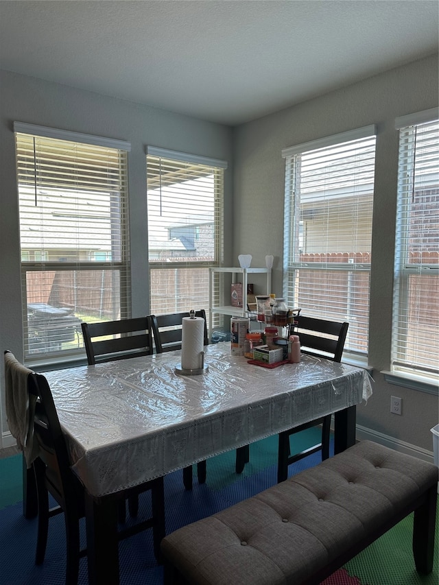 carpeted dining space featuring a healthy amount of sunlight