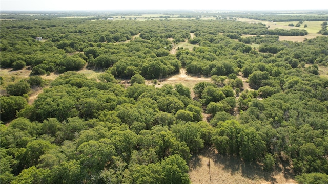 Listing photo 2 for TBD Highway 206, Cisco TX 76437