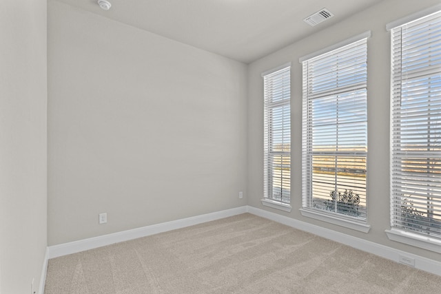 carpeted empty room featuring a wealth of natural light