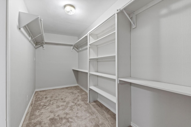 spacious closet featuring light colored carpet