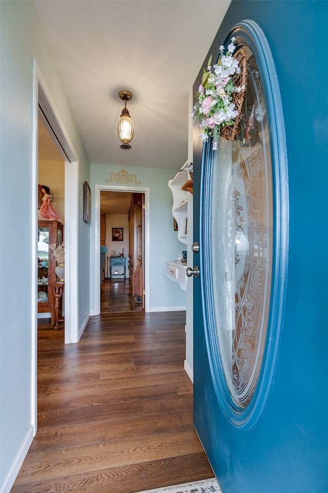 foyer entrance with dark wood-type flooring