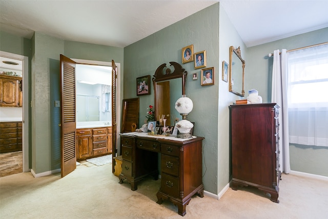 office featuring light colored carpet