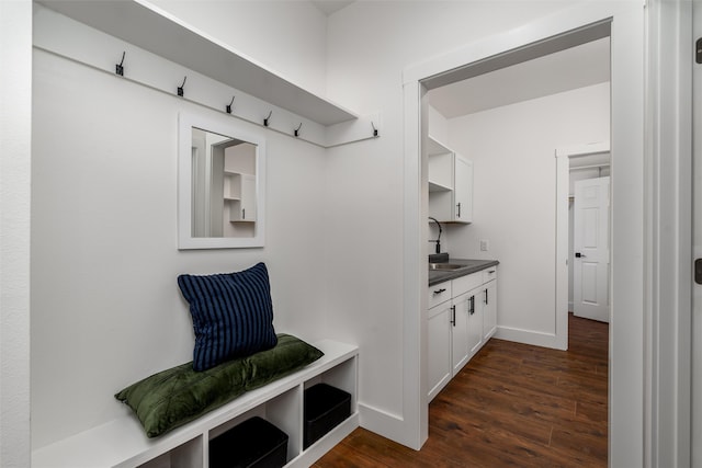 mudroom featuring dark wood-type flooring and sink