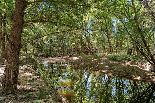 view of landscape with a water view