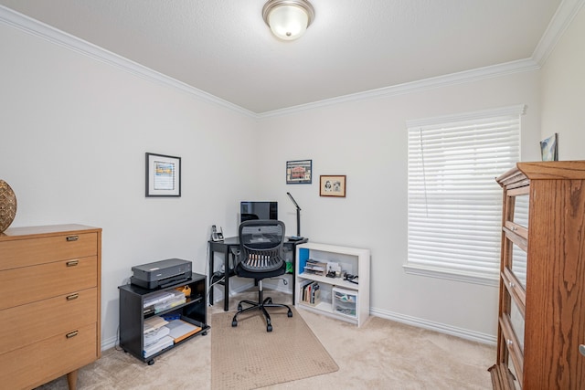 carpeted office featuring ornamental molding