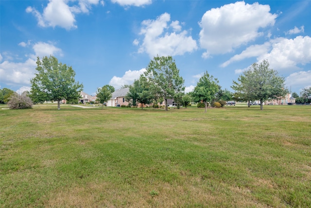 view of yard