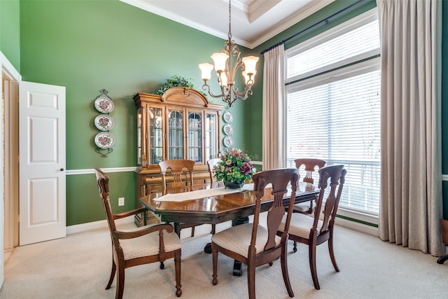 dining area with light colored carpet, a wealth of natural light, a chandelier, and crown molding