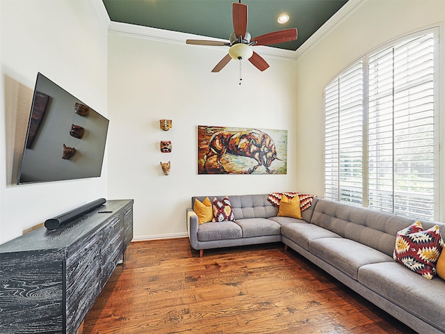 living room with ceiling fan, dark hardwood / wood-style floors, and crown molding