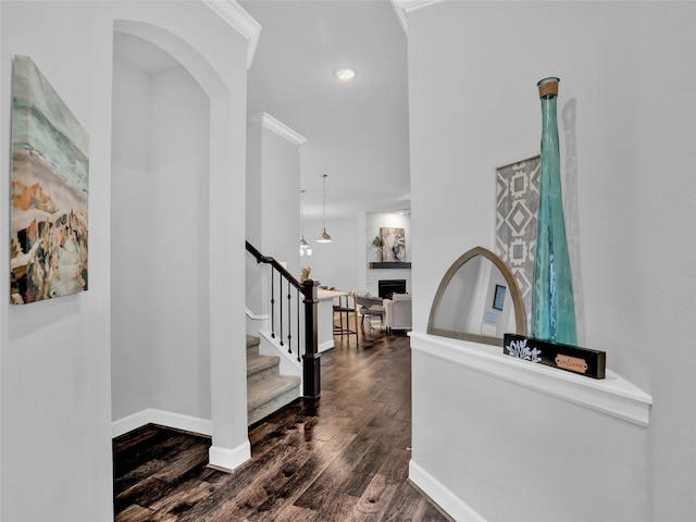 entryway featuring crown molding and dark hardwood / wood-style flooring