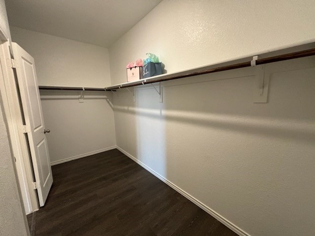 spacious closet featuring dark hardwood / wood-style flooring