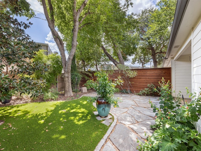 view of yard with a patio