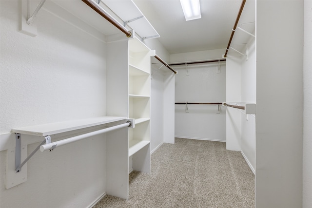 spacious closet with light colored carpet