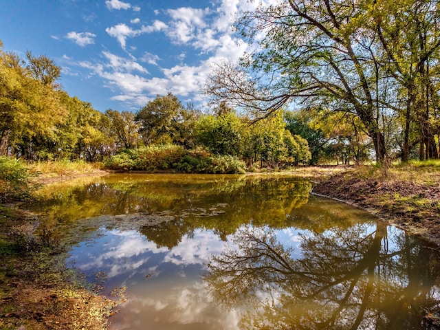 TBD County Road 468, De Leon TX, 76444 land for sale