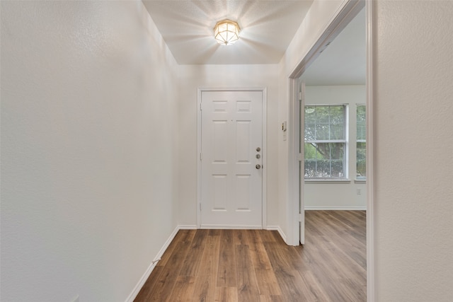 foyer with hardwood / wood-style floors