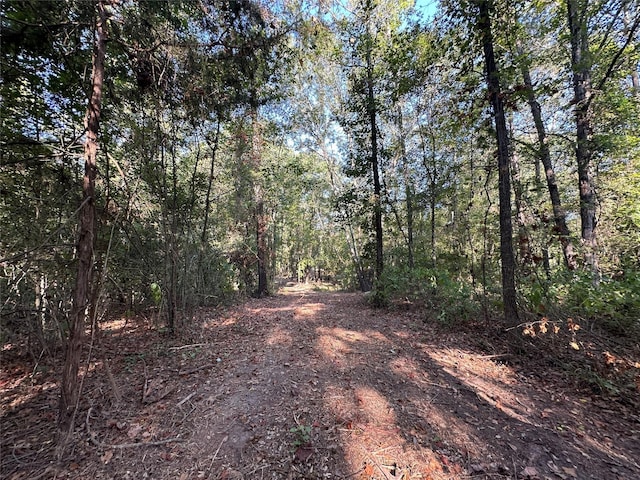 Listing photo 2 for 2NDTRACT10AC Fm 852, Gilmer TX 75644