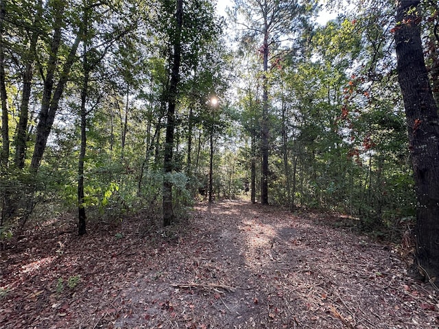 Listing photo 3 for 2NDTRACT10AC Fm 852, Gilmer TX 75644