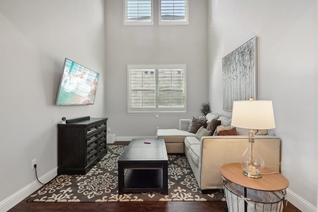 living room with a towering ceiling and hardwood / wood-style flooring