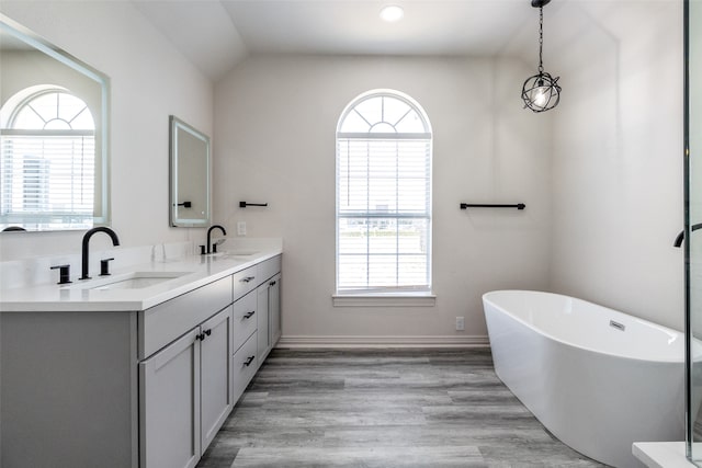 bathroom with vanity, a healthy amount of sunlight, hardwood / wood-style flooring, and a bathtub