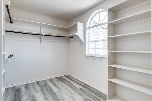 walk in closet featuring hardwood / wood-style floors