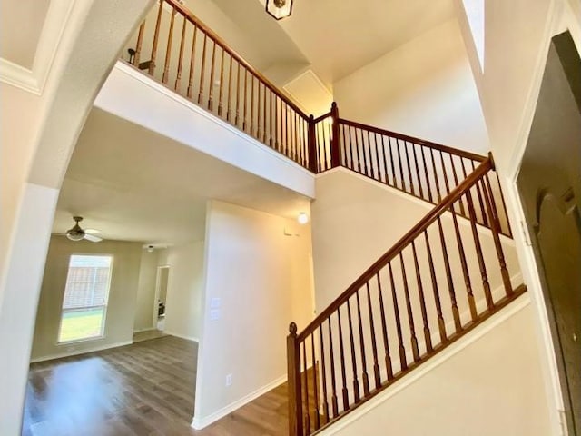 staircase with a towering ceiling, ceiling fan, and wood-type flooring