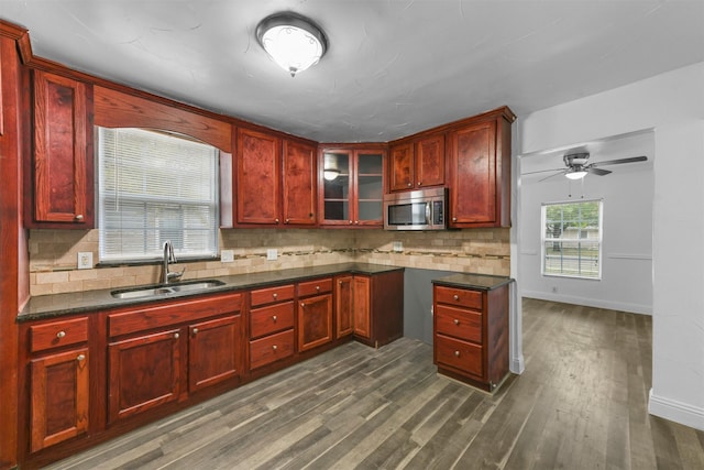 kitchen featuring dark wood-type flooring, ceiling fan, sink, and decorative backsplash