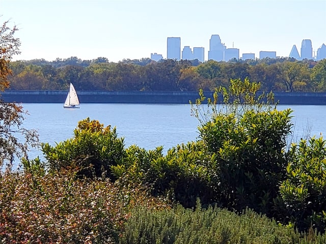 property view of water