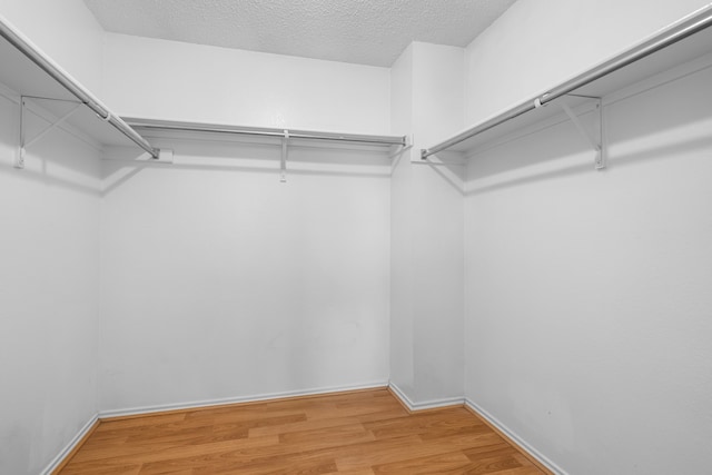 walk in closet with light hardwood / wood-style floors