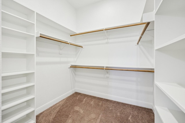 walk in closet with carpet flooring