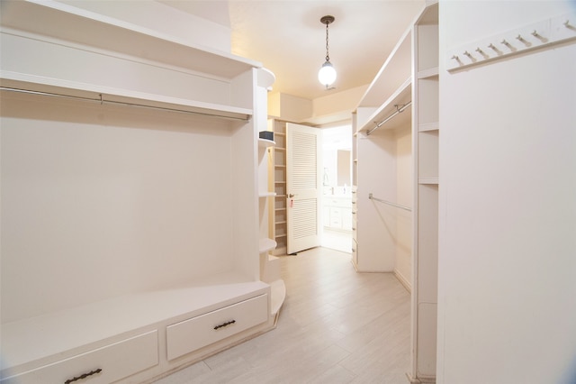 spacious closet featuring light hardwood / wood-style floors