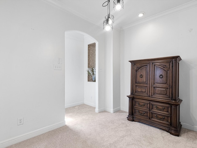 interior space with light colored carpet and ornamental molding