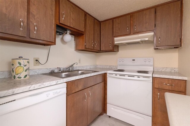 104 Harbor Dr Unit 111, Runaway Bay, TX 76426 - kitchen featuring white appliances, under cabinet range hood, a sink, light countertops, and brown cabinetry