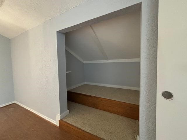 additional living space featuring a textured ceiling, carpet floors, and lofted ceiling