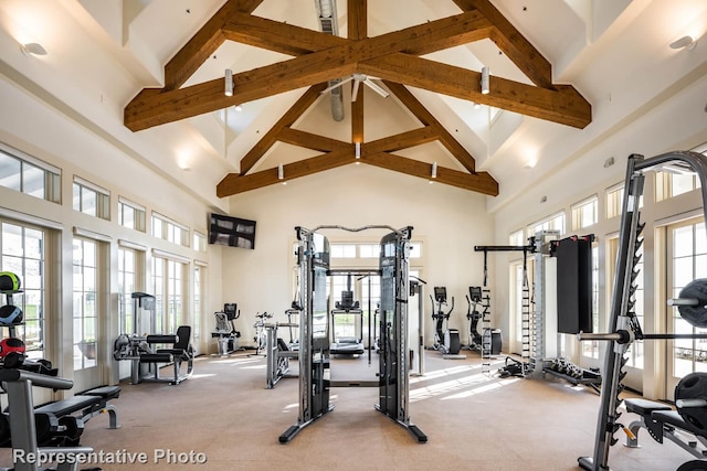 workout area with light colored carpet, a healthy amount of sunlight, and a high ceiling