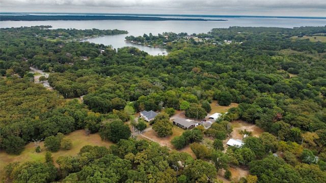 birds eye view of property with a water view and a forest view