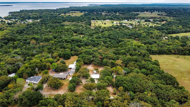 drone / aerial view featuring a water view and a wooded view