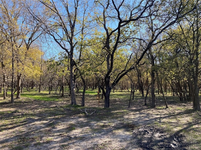 TBD NW County Road 3300, Frost TX, 76641 land for sale