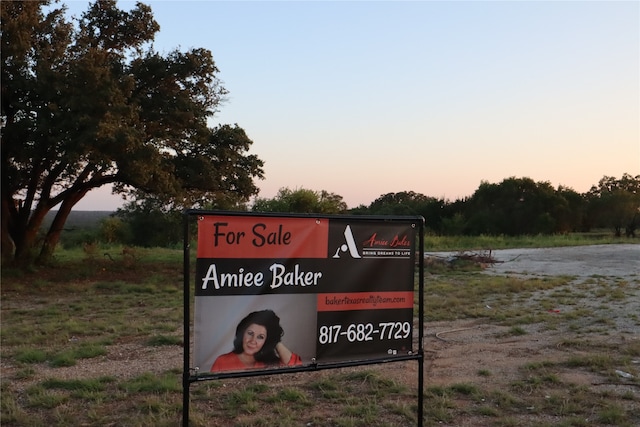 TBDI20 E Loop 254th Hwy, Ranger TX, 76470 land for sale