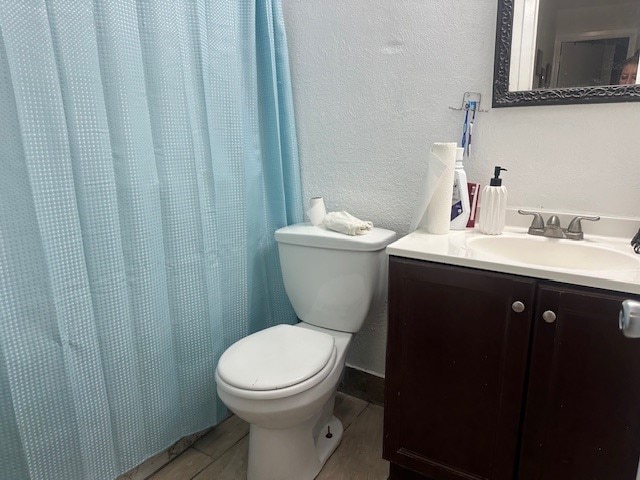 bathroom featuring vanity, toilet, and a shower with curtain